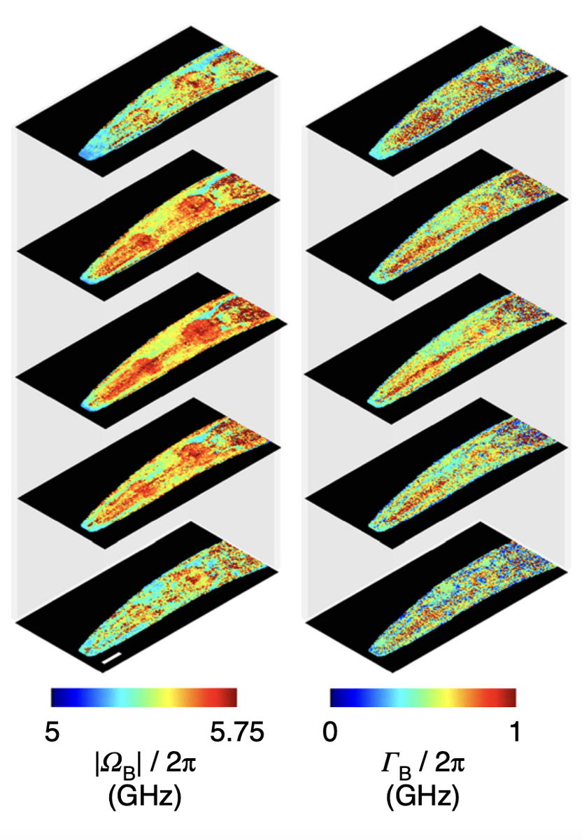 Brillouin spectroscopy - Spectō Photonics
