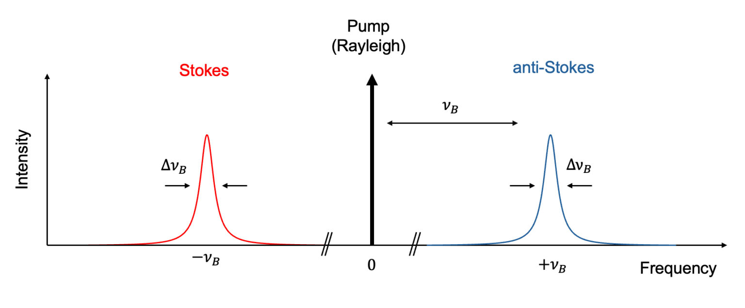 Brillouin spectroscopy - Spectō Photonics